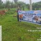 Penyaluran hewan kurban di PLN UP3 Tobelo (Tim)