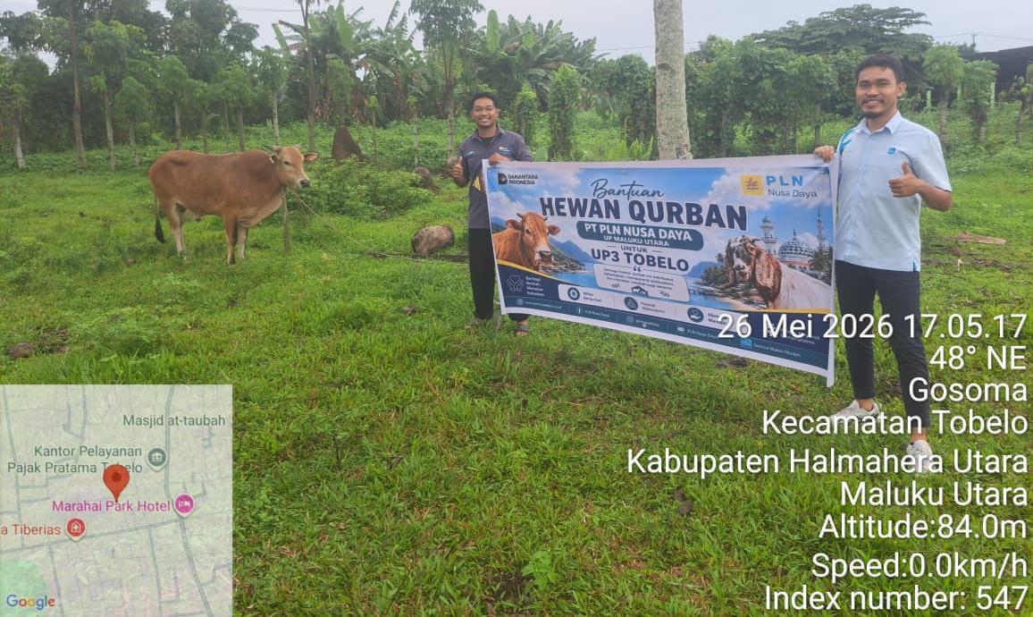 Penyaluran hewan kurban di PLN UP3 Tobelo (Tim)